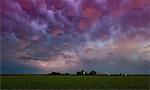 Lightning under storm cloud over farmhouse, Wray, Colorado, US