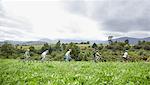 Friends mountain biking in idyllic, remote field