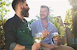 Smiling male gay couple drinking white wine in sunny garden