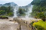 Fumaroles of Furnas Lake, Island of Sao Miguel, Azores, Portugal, Atlantic, Europe