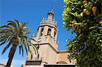 Palm tree and tower of the Iglesia de Santa Maria la Mayor, Ronda, Andalucia, Spain, Europe