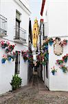 Calleja de las Flores and the Mezquita, Cordoba, Andalucia, Spain, Europe