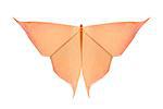 Orange butterfly of origami, isolated on white background.