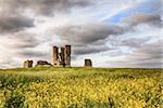 Old ancient ruined church set in a yellow crop landscape with beautiful clouds and sunset sunlight