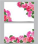 Vector illustration of hydrangea flower. Background with floral decorations. Banner template