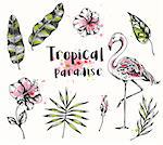 Set of vector hand drawn summer tropical design elements. Pink flamingo, palm and banana leaves.