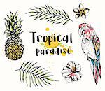 Set of vector hand drawn summer tropical design elements. Parrot, pineapple, tropical flowers and palm leaves on a white background