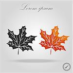 Two Maple Leaves. Autumn maple leaf isolated on a white background. Vector Illustration eps 10