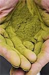 High angle close up of person's palms covered in bright green powdery substance, matcha powder.