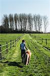 Rear view of woman leading a small brown Shetland brown pony down a paddock along a fence.