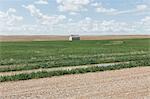 Small barn on vast open prairie, Saskatchewan, Canada.