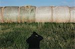 Row of hay bales, photographer's shadow in foreground, near Climax, Saskatchewan, Canada.
