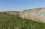 Row of hay bales, near Climax, Saskatchewan, Canada.