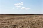 Fallow farmland, horizon and sky, near Dollard, Saskatchewan, Canada.