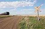 Oil train cars and road crossing, near Swift Current, Saskatchewan, Canada.