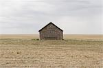 Old barn and fallow field,