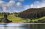 Lush rolling green hills and dense forest, scenic rural landscape, Castro inlet, Isla Grande de Chiloe, Lake District, Chile, South America