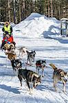 Six husky dog team with sled, driver and two passengers, Husky Farm, Torassieppi, Lapland, Northern Finland, Europe