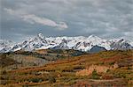 Sneffels Range in the fall, Uncompahgre National Forest, Colorado, United States of America, North America