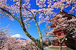 Mount Fuji from Yamanashi Prefecture, Japan