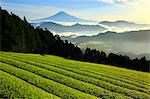 Mount Fuji from Shizuoka Prefecture, Japan