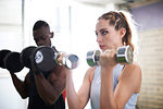 Trainer and female client lifting dumbbells in gym