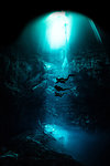 Freediver cavern diving in the pit cavern, Tulum, Quintana Roo, Mexico