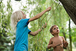 Children playing under willow tree