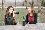 Girlfriends drinking beer in park