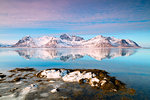 Snowy peaks reflected in the clear sea, Grundstad, Lofoten Islands, Nordland, Norway, Europe