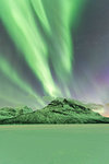 Northern Lights (Aurora borealis) on frozen lake Skoddebergvatnet, Grovfjord, Troms county, Lofoten Islands, Nordland, Norway, Europe