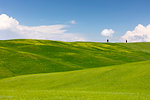 Green fields, Cypress trees and blue sky in Val d'Orcia, UNESCO World Heritage Site, Tuscany, Italy, Europe