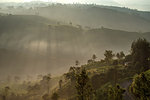 Sunrise moment from Giri's peak, Java, Indonesia, Southeast Asia, Asia