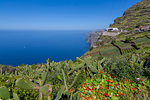 View of Faja dos Padres on South Coast near Cabo Girao, Camara de Lobos, Madeira, Portugal, Atlantic, Europe