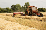 Tractor and straw baler in wheat field, farmer baling straw.