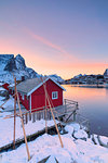 Stockfish and typical fishermen's cabin (Rorbu), Reine, Lofoten Islands, Nordland, Norway, Europe