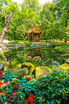 Japanese Garden, Lazienki Park, Warsaw, Poland, Europe