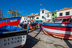 Colourful fishing boats in harbour in Camara de Lobos, Madeira, Portugal, Atlantic, Europe