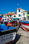 Colourful fishing boats in harbour in Camara de Lobos, Madeira, Portugal, Atlantic, Europe