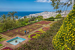 View of exotic flowers in the Botanical Gardens, Funchal, Madeira, Portugal, Atlantic, Europe
