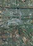 Color satellite image of Pretoria, capital city of South Africa. Image collected on June 11, 2017 by Sentinel-2 satellites.