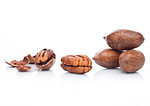 Raw pecans with shell on white background with reflection