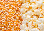 Raw golden swee tcorn and popcorn seeds half plate macro