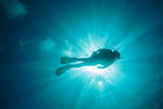 Sun shining behind woman scuba diving underwater, Maldives, Indian Ocean