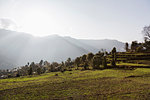 Sunny, tranquil scenic view, Supi Bageshwar, Uttarakhand, Indian Himalayan Foothills