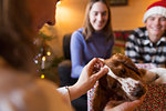 Family petting dog in Christmas living room