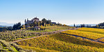 Farmhouse surrounded by vineyards. Gaiole in Chianti, Siena province, Tuscany, Italy.