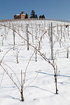 Langhe, Cuneo district, Piedmont, Italy. Langhe wine region winter snow, Grinzane Cavour castle