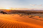 Sunset over the rippling red dunes of the world's oldest desert,Namib Naukluft National Park,Namibia,Africa