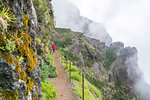 Woman walking on the trail from Pico Ruivo to Pico do Areeiro. Santana municipality, Madeira region, Portugal.